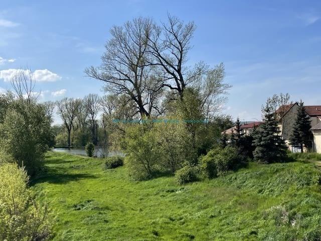 photo_18