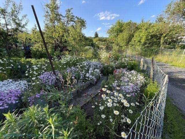 photo_12