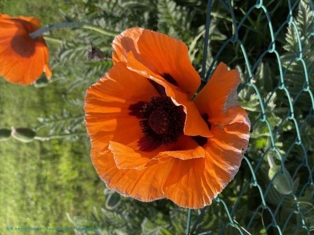 photo_13