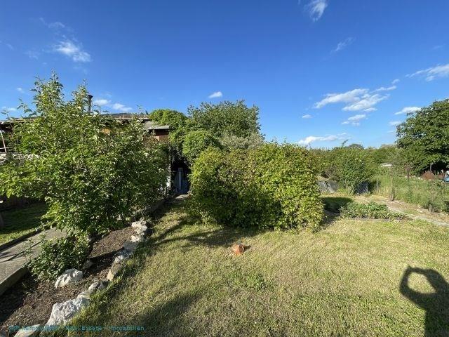 photo_3