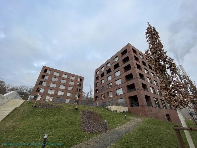 photo_1