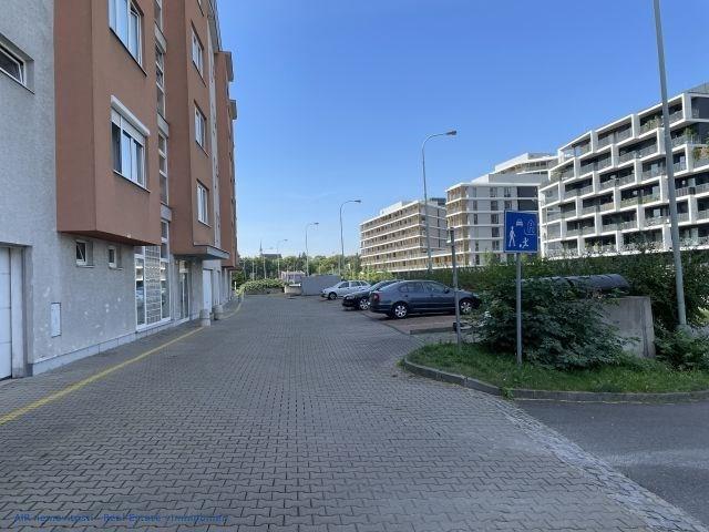 photo_14