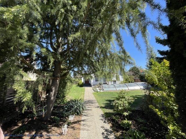 photo_5