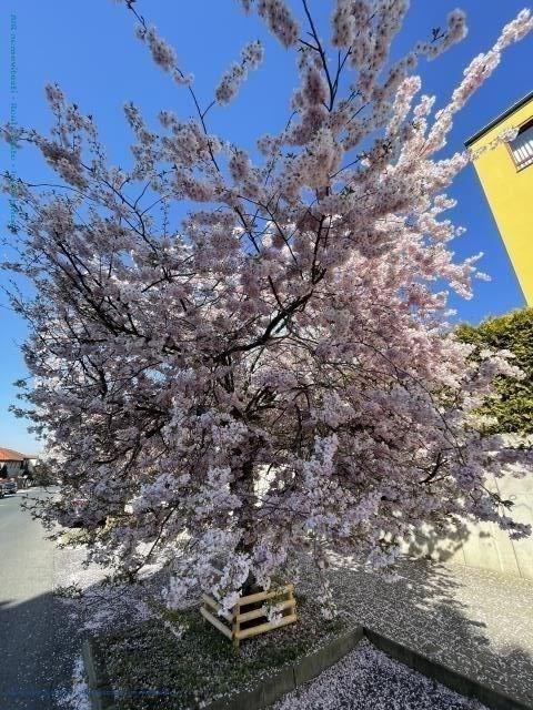 photo_1