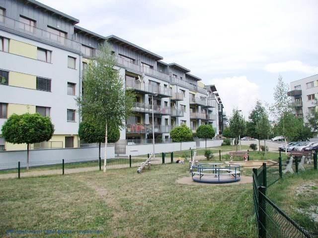 photo_21