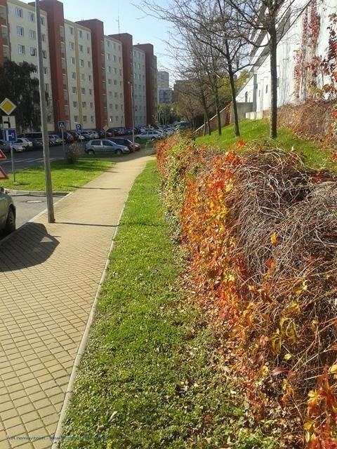 photo_20