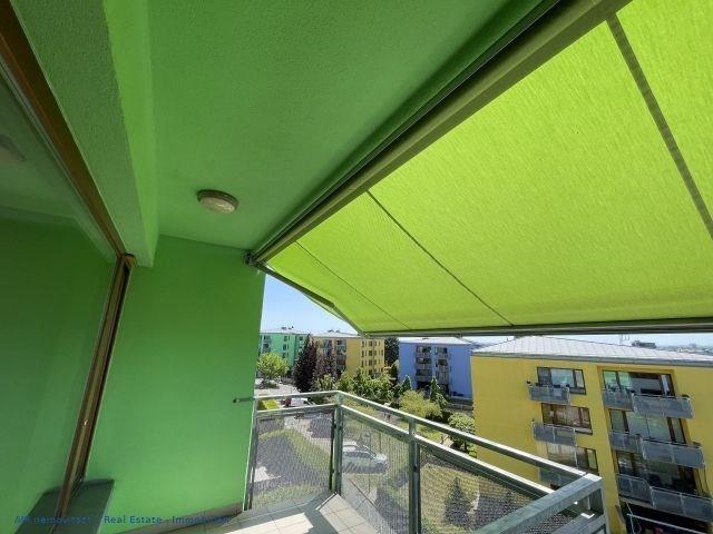 photo_4