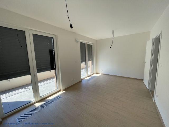 photo_4