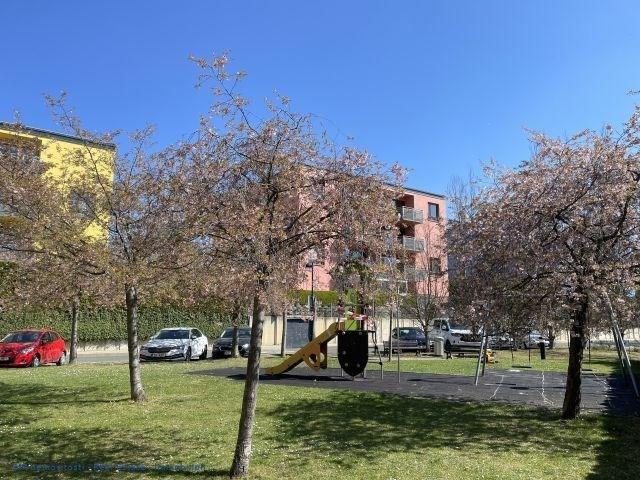 photo_1