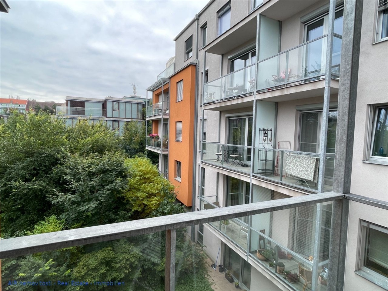 photo_6