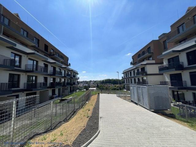 photo_17